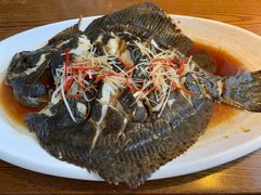 石斑鱼-船歌·鱼水饺青岛菜(金狮广场店)