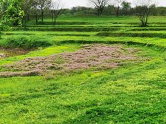 -盘龙城国家考古遗址公园