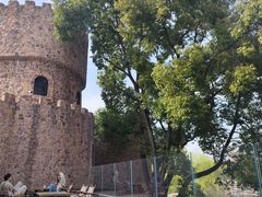 -J Create城市露营咖啡·简餐·宠物(上海动物园店)