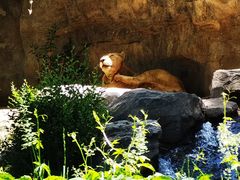 -北京野生动物园