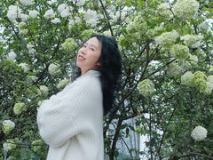 -大龙山(地铁站)