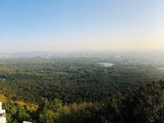 -紫金山天文台