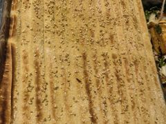 -勃利地摊·勃立小串烧烤