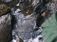 -鼎湖山风景区