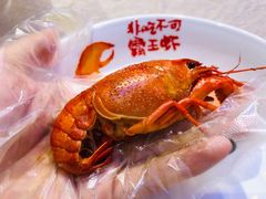 清蒸蘸水虾-霸王虾·小龙虾香辣蟹(玉林店)