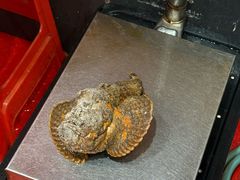 -有腥气私房菜·寻味顺德