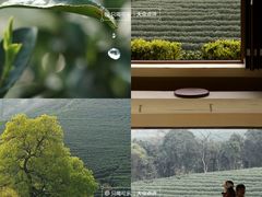 -藏龙百瀑风景区