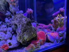 -太平洋海底世界