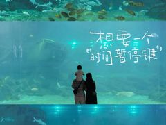 -福州罗源湾海洋世界旅游区