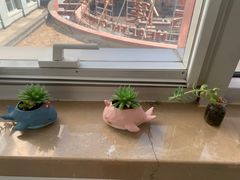 -首都医科大学附属北京友谊医院(西城院区)