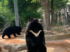 -南京金牛湖风景区