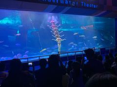 -泉城欧乐堡海洋极地世界