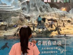 -帝企鹅自助餐厅•儿童岛•真企鹅(长隆企鹅酒店)