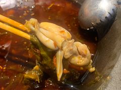 -石锅苗苗鱼(武汉首店)