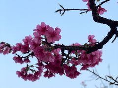 -映月湖公园