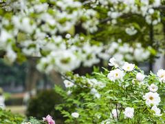 -江南大学(蠡湖校区)