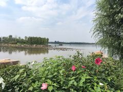 -河北省第三届（邢台园博园）园林博览会