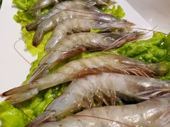-老蜀铜火锅·酸菜脊骨·麻辣羊蝎子(热闹路店)