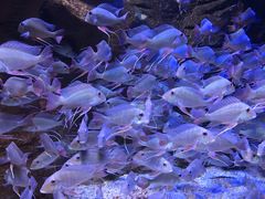 -成都浩海立方海洋公园