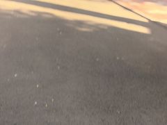 -哈尔滨文化公园