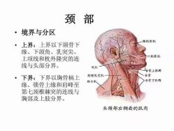 -姜美堂·蒸姜除湿の纤体美颜馆