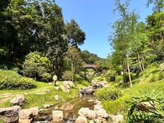 -云溪植物园