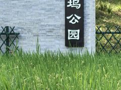 -北坞公园