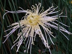 -宜昌富力皇冠假日酒店·咖啡1号西餐厅