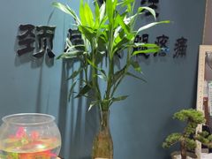 -深蓝盲人推拿·颈肩腰腿疼痛·艾灸调理(清河店)