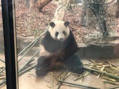 -哈尔滨北方森林动物园