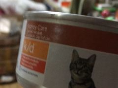 -北京观赏动物医院·24小时大型综合·猫专科·异宠专科