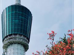 -梧桐山风景名胜区