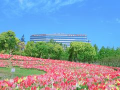 -春花秋色城市公园