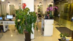 店里-DRG达人馆造型