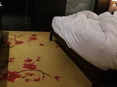 -佛山顺德香云纱园林酒店(清晖园店)
