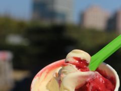 -Dal Cuore 达可芮冰淇淋(陕西北路店)
