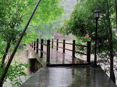 -祁门牯牛降观音堂风景区