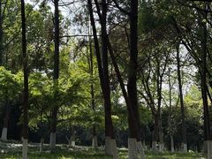 -范蠡湖公园