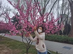 -玲珑塔公园