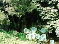 -南国桃园旅游度假区