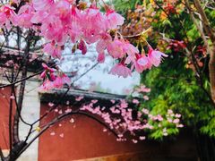 -建水文庙