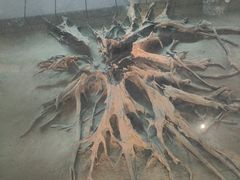 -金沙遗址博物馆