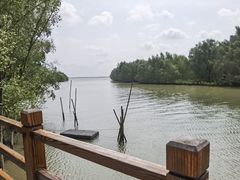 -东寨港红树林旅游区