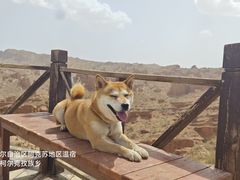 -新疆天山托木尔景区·大峡谷
