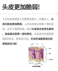 -Bollins波林丝•专研护发中心