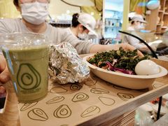 -油梨树AVOCADO TREE(嘉里中心店)