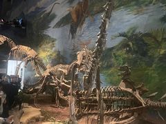 -自贡恐龙博物馆