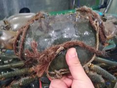 -横行八道海鲜(裕廊西店)