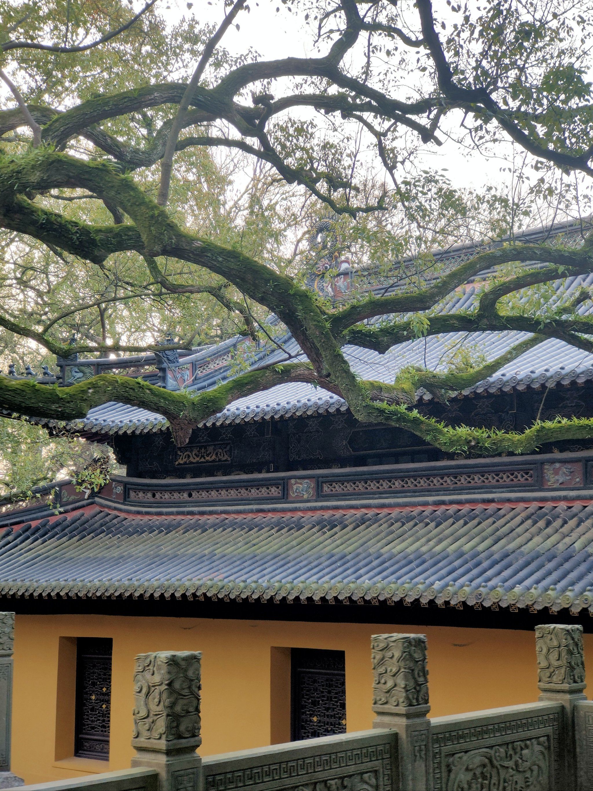普陀山皇家寺庙