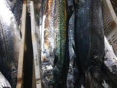 -登州市场(登州路店)